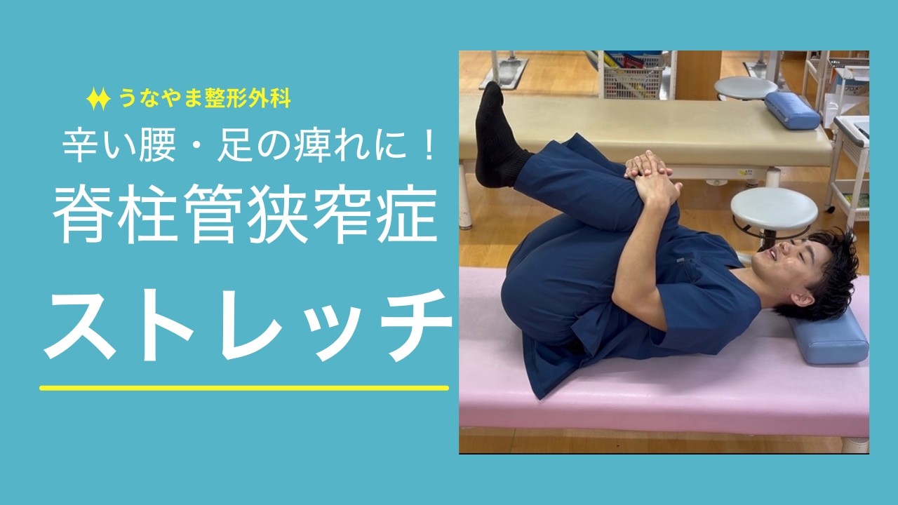 つらい腰・足のしびれに！脊柱管狭窄症向けやさしい運動&ストレッチ