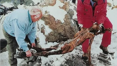 Dove si trova la mummia di Ötzi?