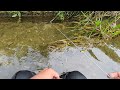 浜名湖周辺のとある怪しい穴にミミズをぶち込んでみたら…🐟