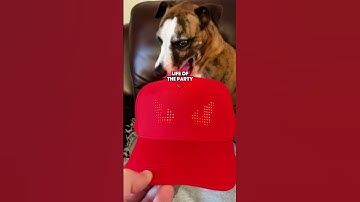 Light Up the Night with This LED Hat! #magicdisplay #hat #magicdisplayhat #hats