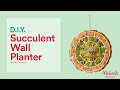 DIY Succulent Wall Planter | Michaels