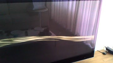 Ps3 Custom Boot Neophyte records