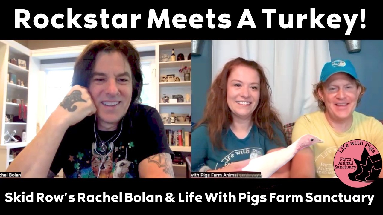Рэйчел Болан из Skid Row встречает индейку, названную в его честь (и переходит на растительную пи...