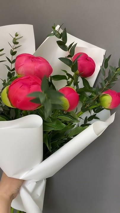 Пионы Корал Шарм! - YouTube