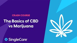 Pharmacist Crash Course: CBD vs. Marijuana