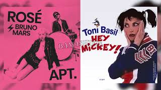 Apt X Hey Mickey mashup Ros X Toni Basil