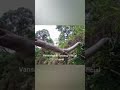 Thi tleh in nuai tlu lian hle mai 26.4.2026 zan