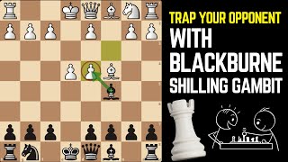 Learn The Famous Blackburne Shilling Gambit | Dhyan chess academy #chesstrap #chesslesson #chess