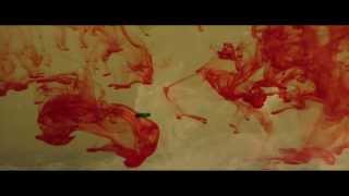 FUCK THE FACTS L'enclume et le marteau