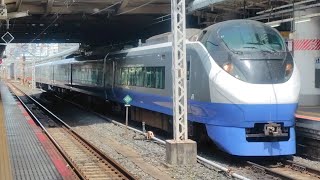 E657系ｶﾂK1編成(ブルーオーシャン塗装) 特急ひたち10号品川行(10M) 上野駅到着シーン