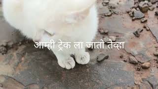 Treking Funny Trending reel 