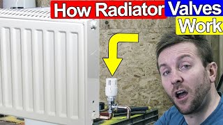 HOW RADIATOR VALVES WORK AND HOW TO SET THEM  TRV/Thermostatic