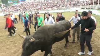 Kafkasorde Kadirağanın Gazabı