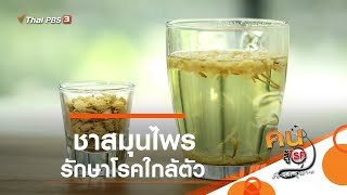 ชาสมุนไพร รักษาโรคใกล้ตัว : กินดี อยู่ดีกับหมอพรเทพ (6 ก.ย. 62)