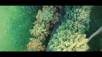 DJI Spark Longboard Run - Active Tracking Movie Style