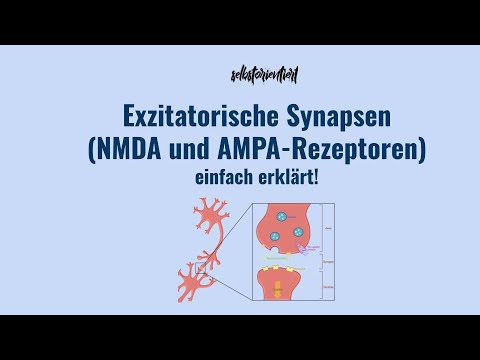 Video: Im Vergleich zu ionotropen Rezeptoren zu metabotropen Rezeptoren?