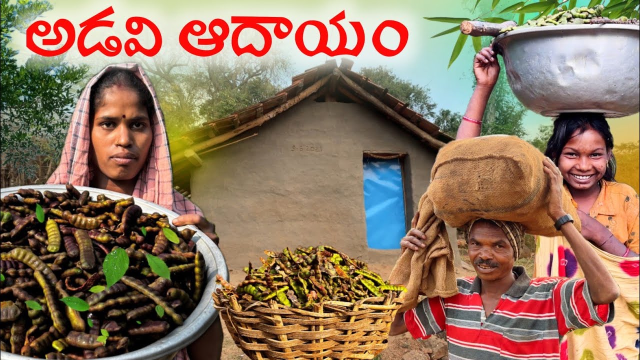 అడవే ఆదారం-గిరిజనులు అడవినుండి ఏమి కోసుకొచ్చారో చూడండీ#ForestResources for Tribals@TribalMirror