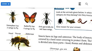Science Class 5 Chapter 1 "Animal Classification" (Part 2)