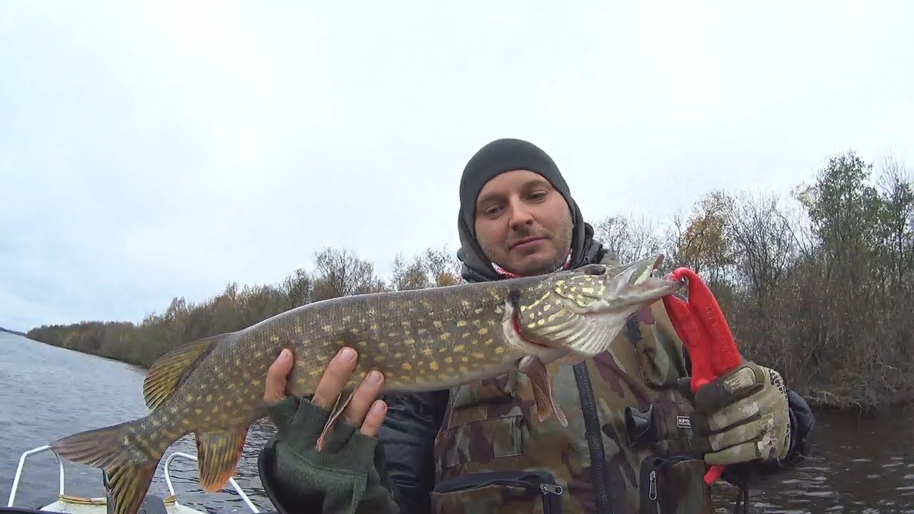 Рыбалка под Архангельском - YouTube