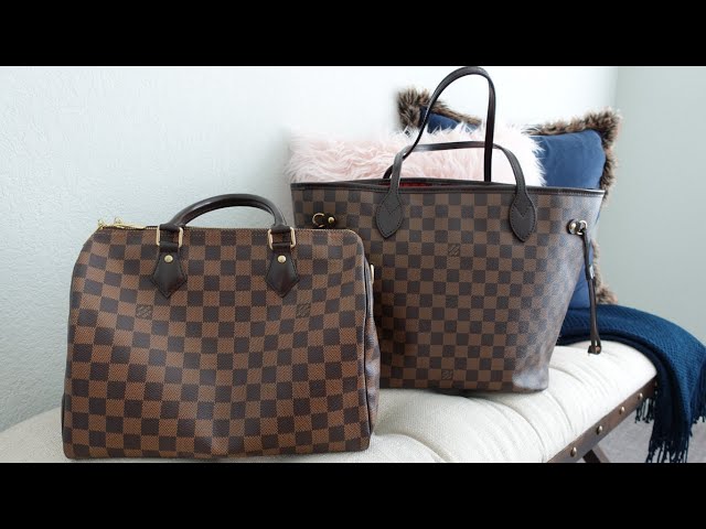 Louis Vuitton Cruise 2019 Catogram Neverfull & Speedy30 - BAGAHOLICBOY