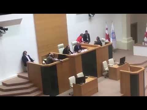 რუს დეპუტატს საქართველოს პარლამენტში სხდომა რუსულ ენაზე მიჰყავს