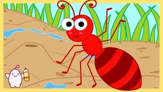 Karınca Çizim Şarkısı 🐜 Nasıl Çizilir? Mimi Bebek Şarkıları 2017, 4K