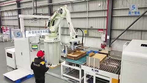 Sunyi Automatic Robot Palletizing System | Corrugated Industry