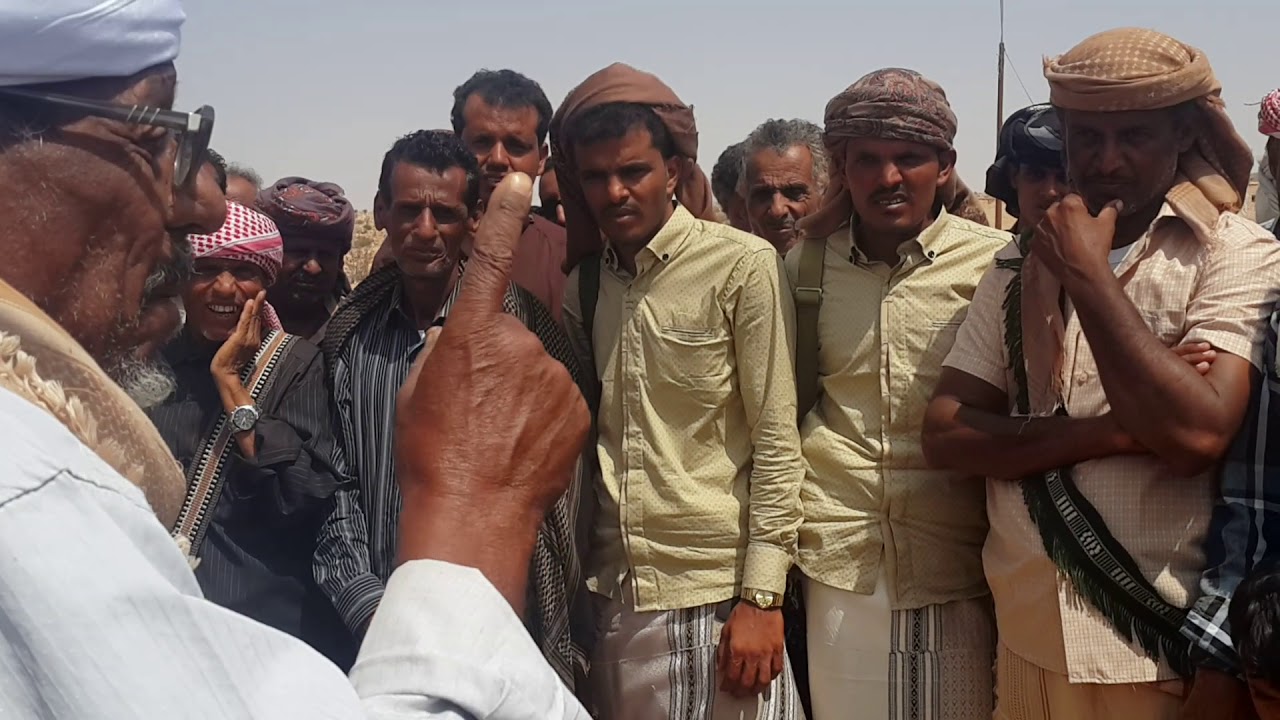 زامل في صوط القثم  زواج عمر ومحمد باسعيد القثمي