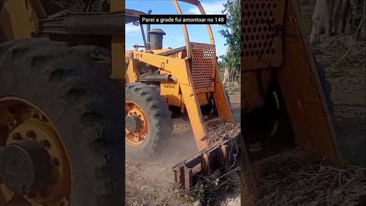 148 amontoando juquira