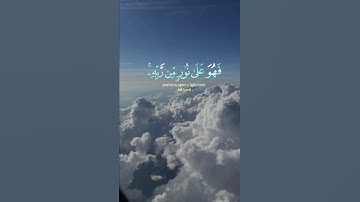 قراءة تريح القلب للقارئ ماهر المعيقلي🤍🕊 #المصحف #لايك #اكسبلور #القرآن_الكريم #راحة_نفسية