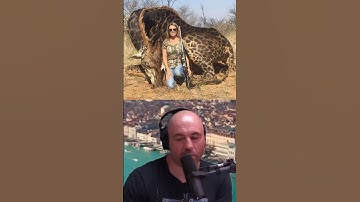 Joe Rogan