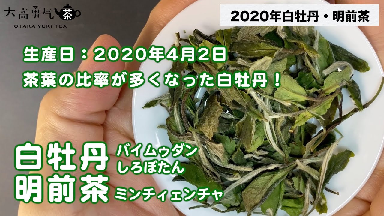 野生白牡丹　白茶　2011年　中国茶 Amazon | 白牡丹 50g 【白茶】 | Locatis | 中国茶 通販
