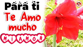Para ti Mi Amor 💌 Mensaje de Amor para el Amor de mi vida 💌 mira este video romántico