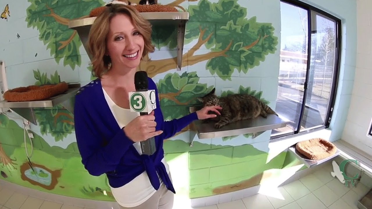 The Buzz, Calabasas Events Week of Jan. 19th (at Agoura Animal Care