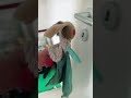 OUVRE LA PORTE !!! #viral #music #humour #drip #memes #funny #abonnetoi #abonnetoi #cute