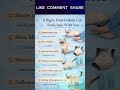 6 Signs Your Indoor Cat feels Safe with You #animalfacts #catfacts #petcare #usashorts