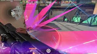 LiveLeak Violent cartel execution bloody