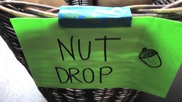 Squirrels Invade La Jolla Playhouse!