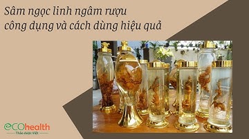 Sâm ngọc linh ngâm rượu - công dụng và cách dùng hiệu quả