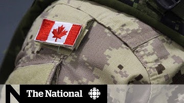 Army probing whether reservist is recruiting for a neo-Nazi group