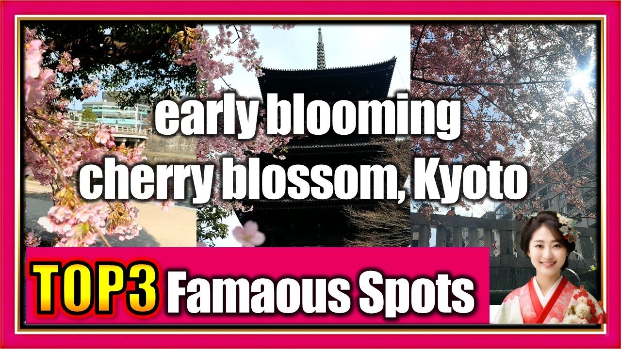 [KYOTO VLOG] Best 3 early blooming cherry blossom spots in Kyoto - Japan [English]