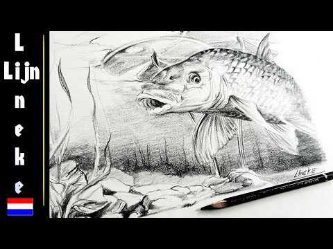 Video: Hoe Stap Voor Stap Een Vis Met Een Potlood Tekenen?