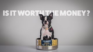 Yeti Boomer Dog Bowl - Is It Worth the Money?
