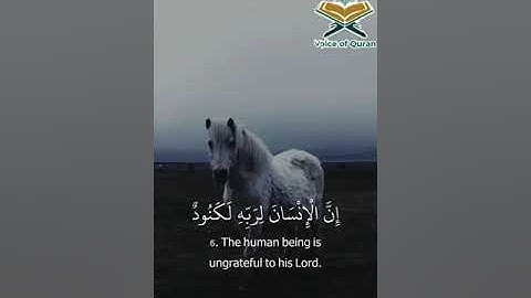 ﴿وَالعادِياتِ ضَبحًا﴾ [العاديات: ١] القارئ عبدالرحمن مسعد أجمل التلاوات 👂🏻❤️