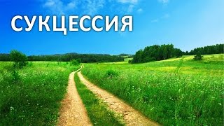Сукцессия