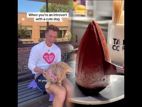 Just Cause I Have A Cute Dog Doesn T Mean I Want To Chat Dog Pov Dogs Shorts Humor Asmr