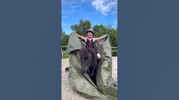 Try this with your horse 🐴 #shorts #horse #pony #horseriding
