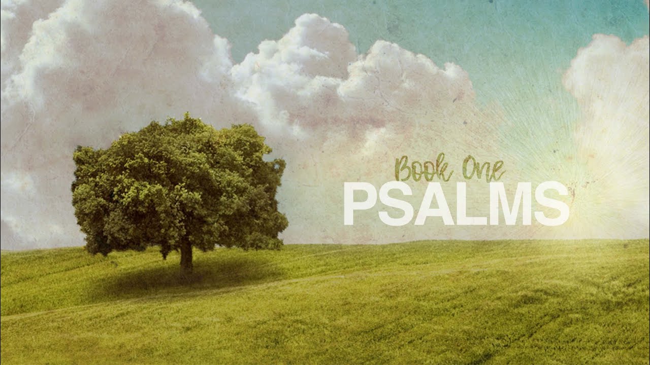 Psalm 1 Delighting in God's Word - YouTube