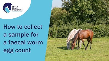 How to collect a sample for a faecal worm egg count