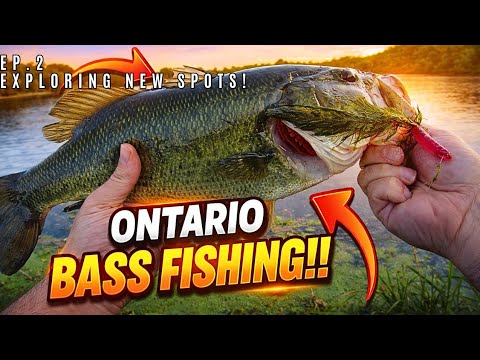 BIG LARGEMOUTH BASS Fishing a New Spot in Ontario! (Shore Fishing For Bass!!)